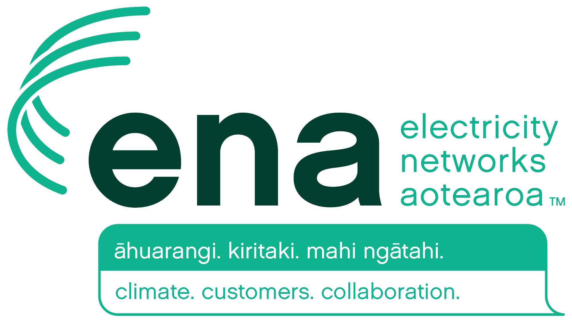 Electricity Networks Aotearoa