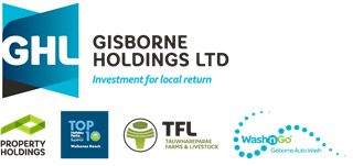 Gisborne Holdings Limited