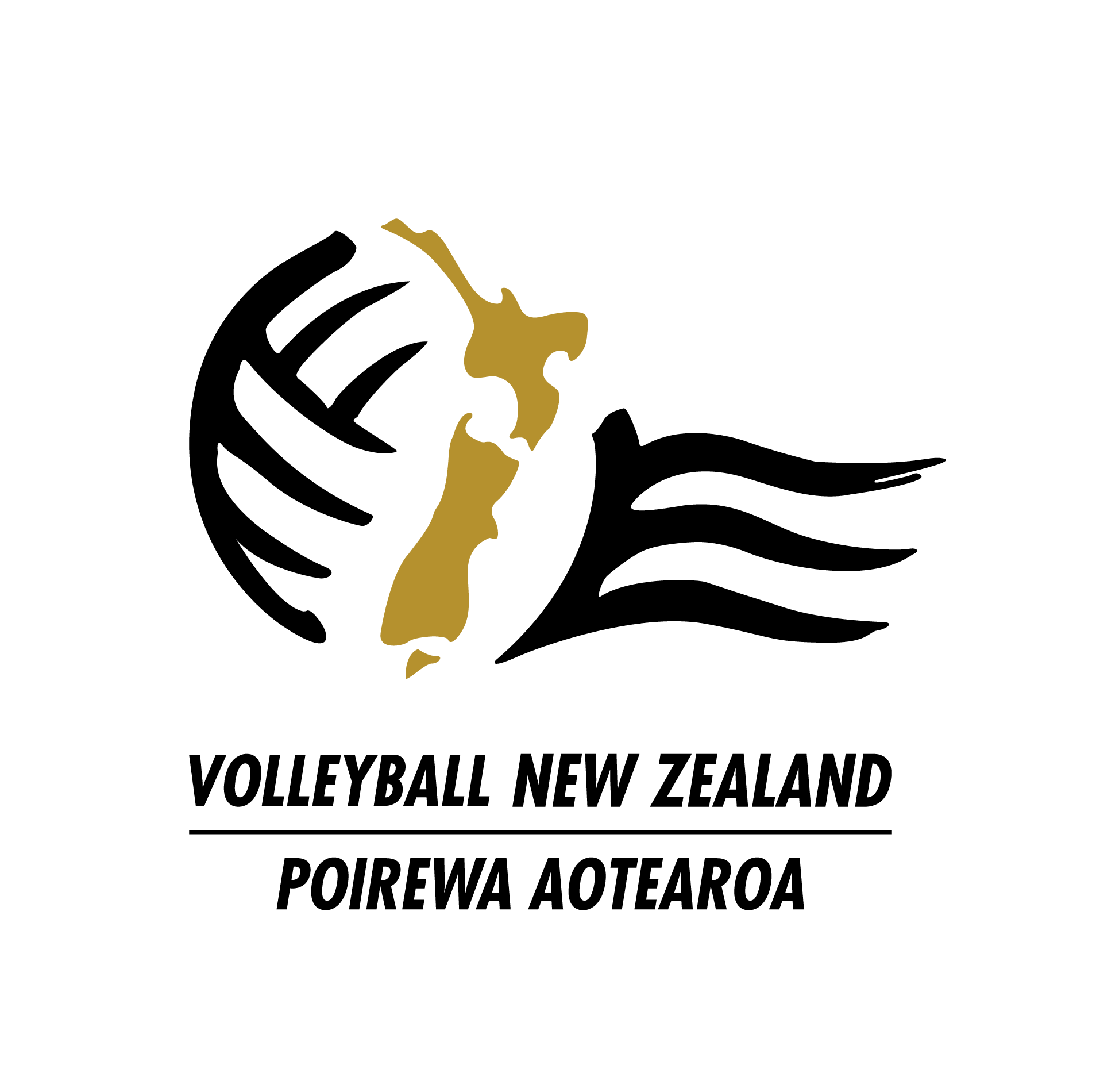 Volleyball New Zealand